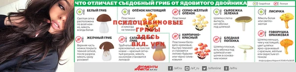 прущая мука Остров