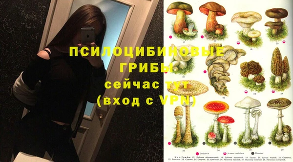 прущая мука Остров