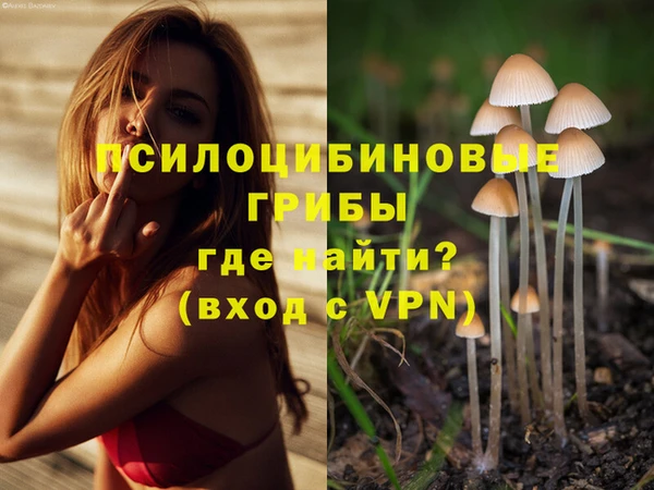 прущая мука Остров