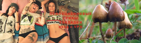 скорость mdpv Осинники
